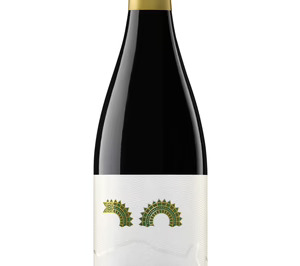 Vintae presenta nuevos proyectos