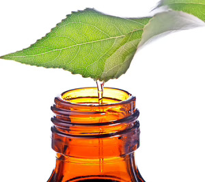 Lluch Essence espera seguir creciendo este año