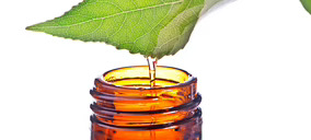 Lluch Essence espera seguir creciendo este año