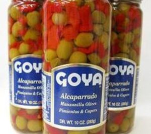 Goya en España, proyecto inversor para el bienio 2015-2016
