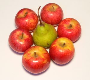 Menos producción de manzana y pera catalana este año