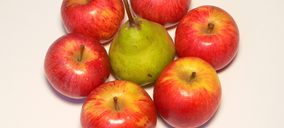 Menos producción de manzana y pera catalana este año