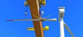 Proyectos nacionales (14-20/09/2015)