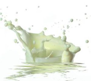 Magrama e Inlac analizan el impacto del reciente paquete de medidas lácteas 