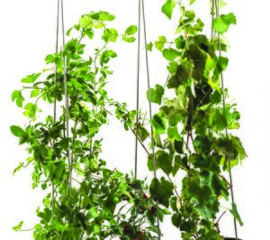 Keter incorpora a su oferta el huerto urbano G Row