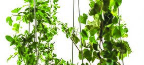 Keter incorpora a su oferta el huerto urbano G Row