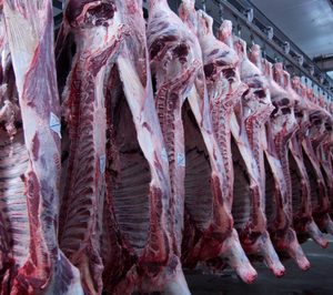 La alemana Tönnies se postula para adquirir el matadero de Agroalimentaria de Teruel