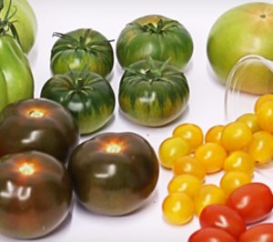 La IGP Tomate La Cañada de promoción en Milán