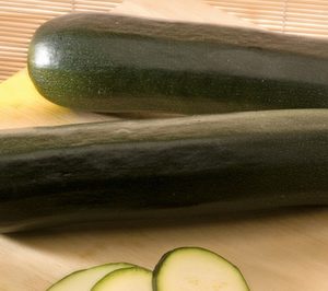 Hortofrutícola Las Norias ultima la ampliación de sus instalaciones