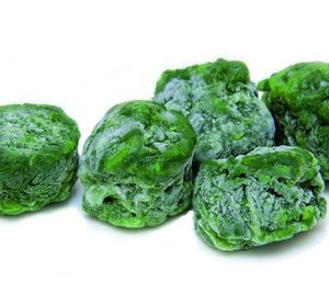 Un incendio arrasa las instalaciones de Congesa