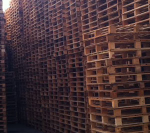 Eco Green Palet supera los 5 M de ingresos