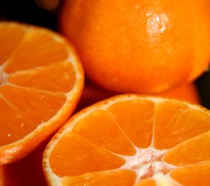 Germans Fuster realiza mejoras en sus instalaciones y crece en ventas