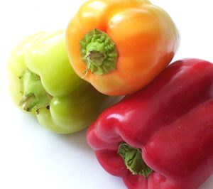 Ejidomar elige la incorporación de nuevos socios para crecer