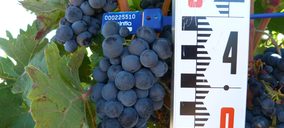 Primeros resultados positivos del Proyecto Biogerm