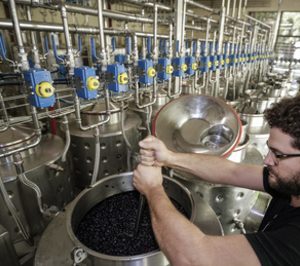 Bodegas Torres estrena su bodega de microvinificaciones