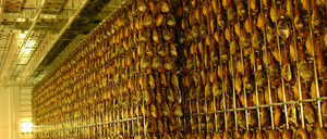 Tello invertirá 30 M€ en su complejo cárnico