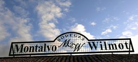 Cambios internos en Montalvo Wilmot