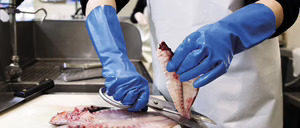 Infome 2015 de los frescos en la distribución