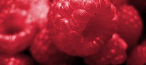 Fresón de Palos contará con una primera producción de frambuesa esta campaña