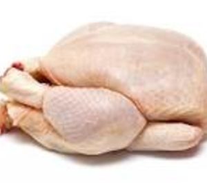 Ocho empresas ofertan por los activos de Avicu