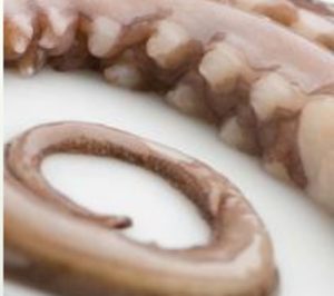 Pescapuerta traspasa sus activos en Argentina a Estrella Patagónica