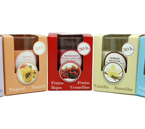 Desarrollos Empresariales Igel supera su previsión de ventas