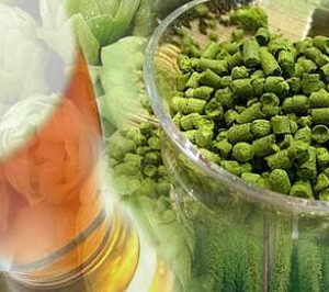 La CNMV aprueba la compra de Fomento del Lúpulo por parte de Hopsteiner