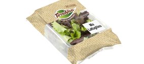 Vegetales Línea Verde lanza una nueva línea de ensaladas de I gama