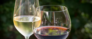 Informe 2015 del sector del Vino