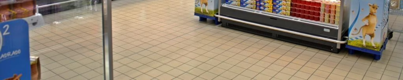 Informe 2015 del mercado de frío comercial