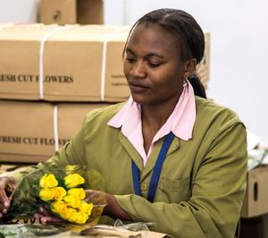 Panalpina adquiere Airflo