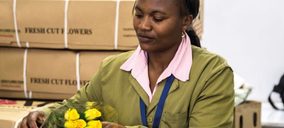 Panalpina adquiere Airflo