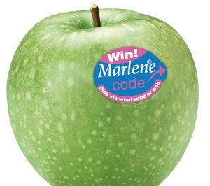 Confianza y nuevas variedades en la temporada 2015/2016 del consorcio VOG