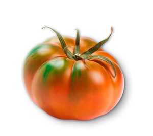 Procomel introduce nuevas variedades en su catálogo