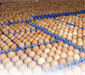 Marcopolo Comercio compra una granja avícola a Pascual