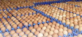 Marcopolo Comercio compra una granja avícola a Pascual