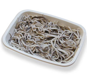 Bilopack tiene operativa su línea de producción de bandejas