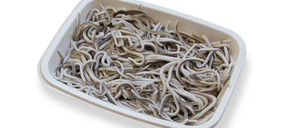 Bilopack tiene operativa su línea de producción de bandejas