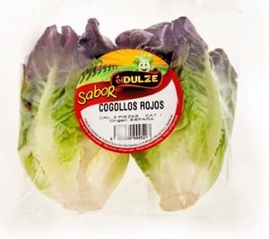 Frutas El Dulze presenta sus novedades en lechuga