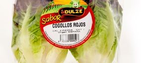 Frutas El Dulze presenta sus novedades en lechuga