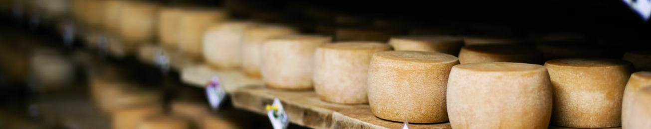 Informe 2015 del sector de quesos