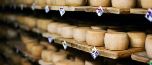 Informe 2015 del sector de quesos