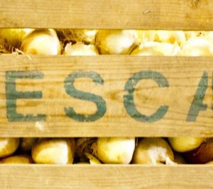 Ruescas Export invertirá en su centro de producción en 2016