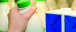 Informe 2015 sobre el sector de leche de consumo