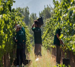 Raventós i Blanc, nuevas inversiones en su bodega