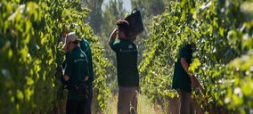 Raventós i Blanc, nuevas inversiones en su bodega