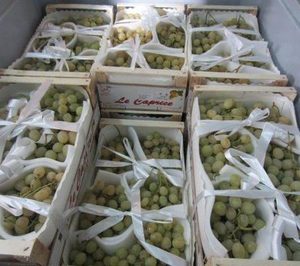 Aitiip desarrolla un envase hortofrutícola en su proyecto FreshBox