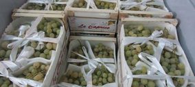 Aitiip desarrolla un envase hortofrutícola en su proyecto FreshBox