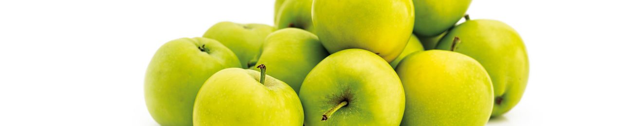 Informe 2016 del sector de manzana