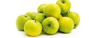 Informe 2016 del sector de manzana